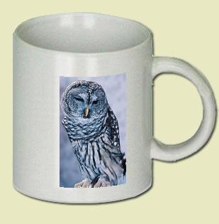 Owl Coffee Mug