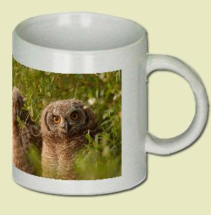 Owl Coffee Mug