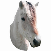 Horse Mousepad