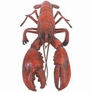 Lobster Magnet