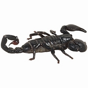 Scorpion Magnet