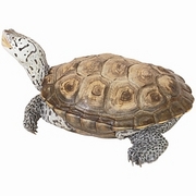 Turtle T-Shirt