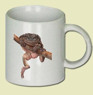 Frog Coffee Mug
