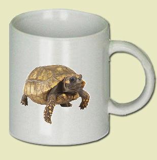 Turtle Coffee Mug