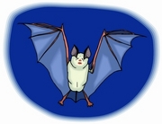 Bat Magnet
