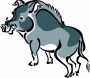 Boar T-Shirt