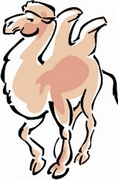 Camel T-Shirt