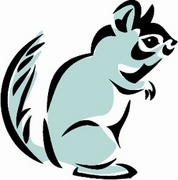 Chinchilla T-Shirt