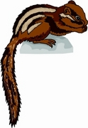 Chipmunk T-Shirt