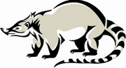 Coati T-Shirt