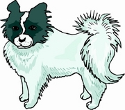 Dog T-Shirt