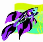 Fish T-Shirt