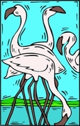 Flamingo Poster