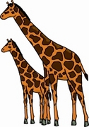 Giraffe Magnet
