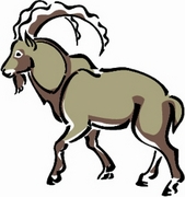 Goat T-Shirt