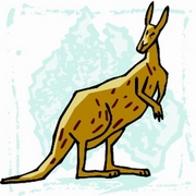 Kangaroo T-Shirt
