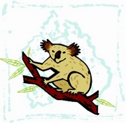 Koala T-Shirt
