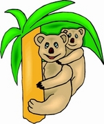Koala T-Shirt