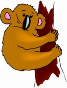 Koala T-Shirt