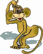 Macaque T-Shirt