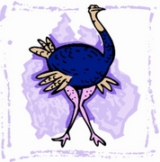 Ostrich Magnet