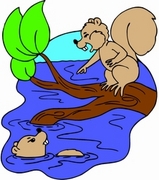 Otter T-Shirt