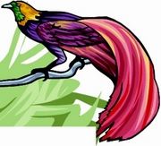 Pheasant Magnet