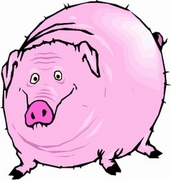 Pig T-Shirt