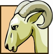 Ram T-Shirt