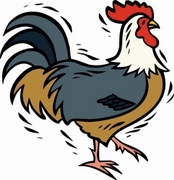 Rooster Magnet