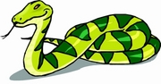 Snake T-Shirt