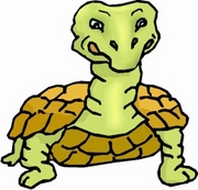 Turtle T-Shirt