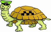 Turtle T-Shirt
