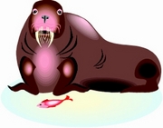 Walrus Magnet