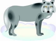 Wolf T-Shirt