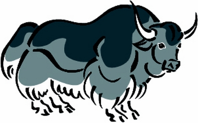 Yak