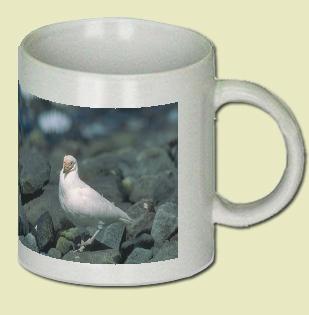 American Sheathbill Coffee Mug