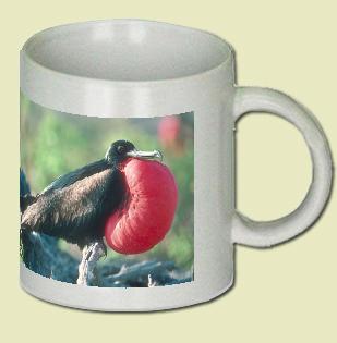 Great Frigatebird Coffee Mug