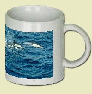 Common Dolphin Coffee Mug