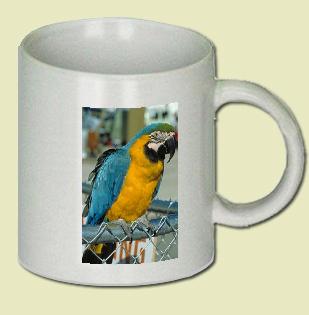 Blue And Gold Macaw  Coffee Mug