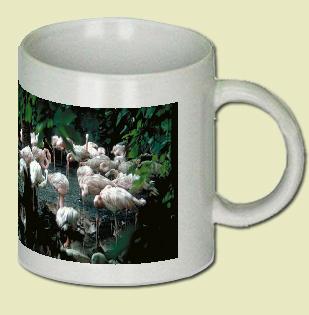 Flamingos Coffee Mug