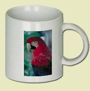 Greenwing Macaw Coffee Mug