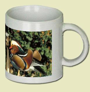 Mandarin Duck Coffee Mug
