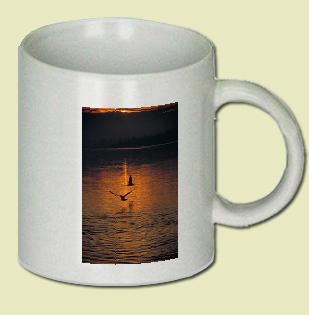 Seagull Coffee Mug