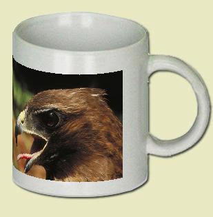 Red-tailed Hawk Coffee Mug