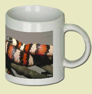 Long-Nosed Snake Coffee Mug