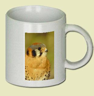 American Kestrel Falcon Coffee Mug