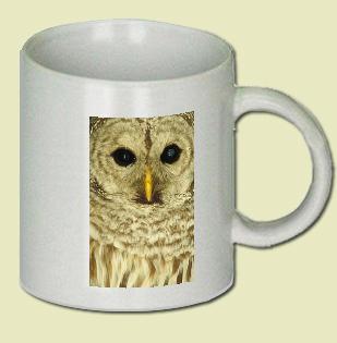 Barred Owl Coffee Mug