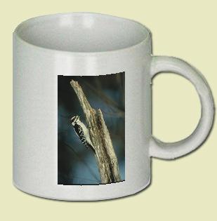 Downy Woodpecker Coffee Mug