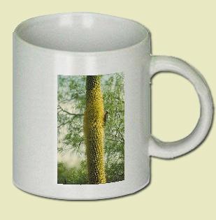 Gila Woodpecker Coffee Mug